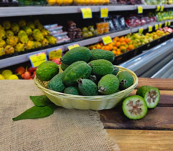 Feijoa