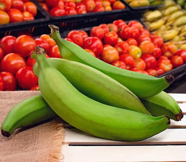 Platano Verde De Primera