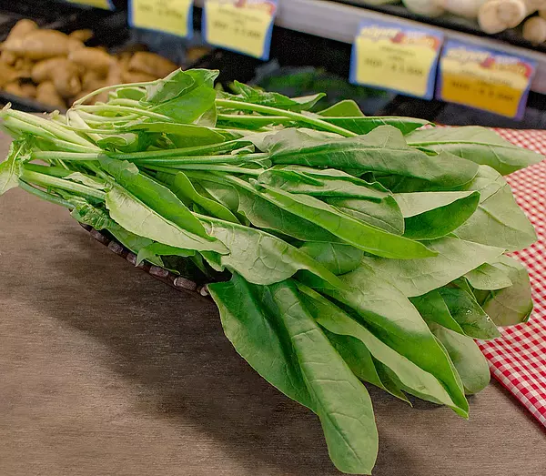 Hortifresco Espinaca Bogota 130g Orgánica