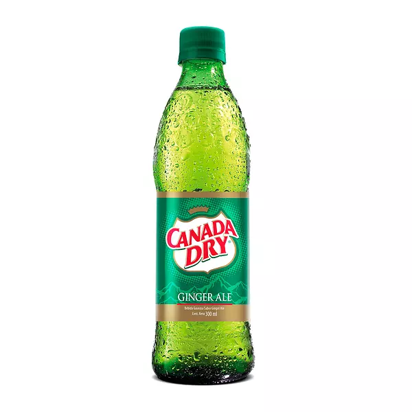 Gaseosa Canada Dry Botella 300ml