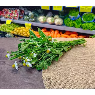 Naturomar Hierbas Frescas Aromaticas Surtidas