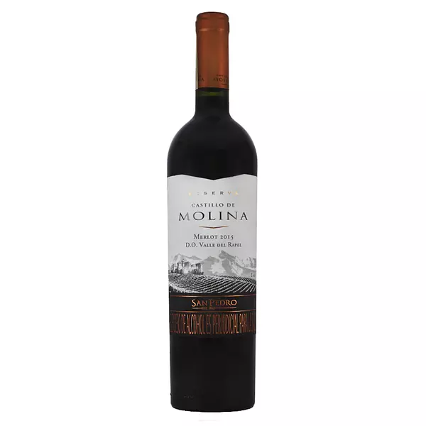 Vino Castillo de Molina Merlot 750ml