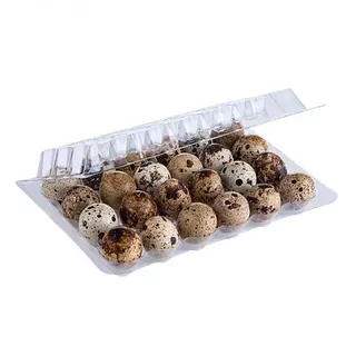 Kayita Huevos De Codorniz 24