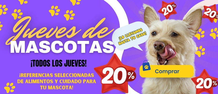 jueves de mascotas