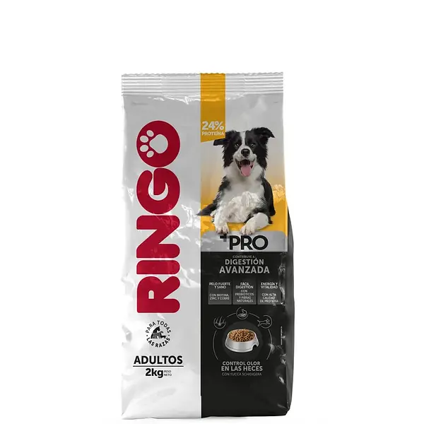 Ringo 2000gr +Pro Adultos