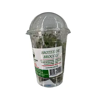 Brotes De Santander 30g